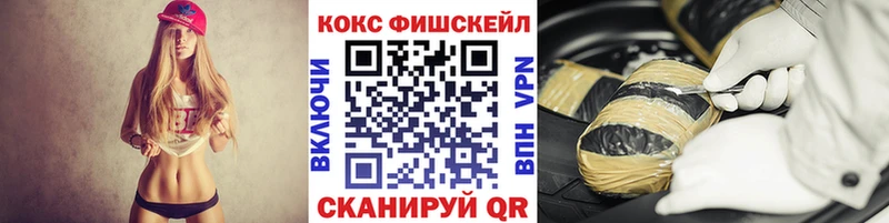 купить наркотики сайты  Снежногорск  MEGA как войти  КОКАИН 99% 