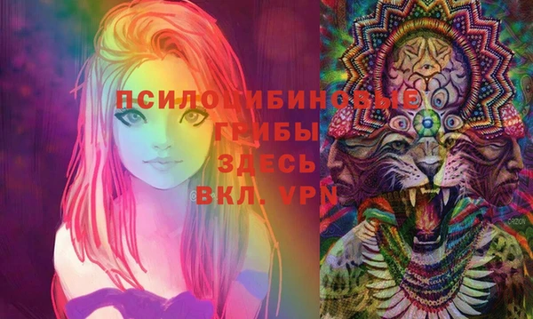 2c-b Алексин